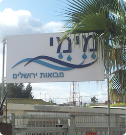 מבנה האגודה